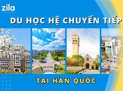 Du Học Chuyển Tiếp Hàn Là Gì 2023 Mới Nhất