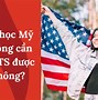 Du Học Chuyển Tiếp Sang Mỹ Được Không Cần Sat Không Ạ Không