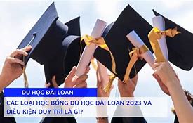 Học Bổng Ctdb Hcmus Là Gì 2023 Model Pdf Download