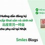 Trợ Cấp Thai Sản Ở Nhật Khi Sinh Ở Việt Nam Là Bao Nhiêu